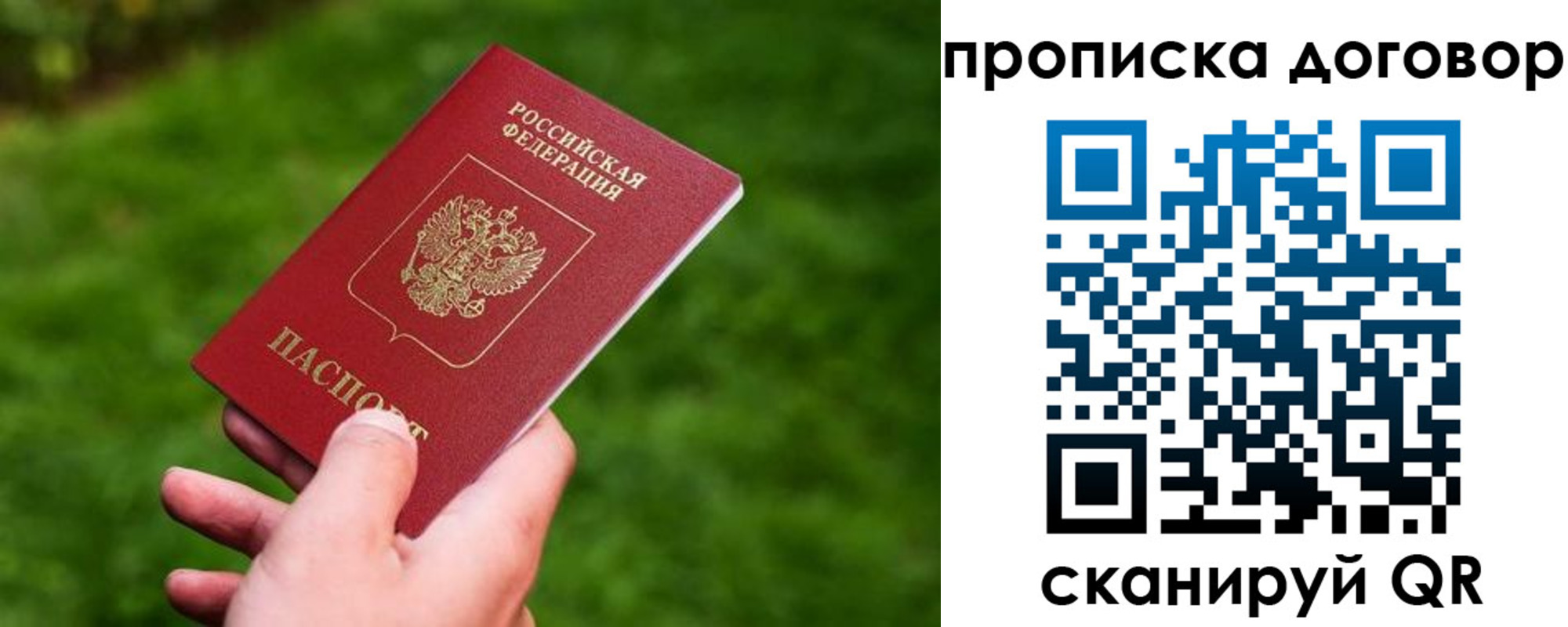 прописка гарантия в Называевске